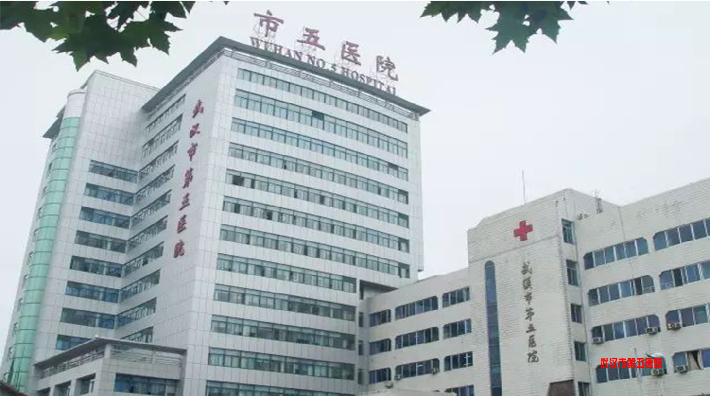 武汉市五医院